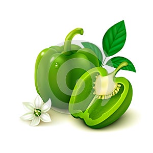 Green bell pepper (bulgarian pepper) on white background