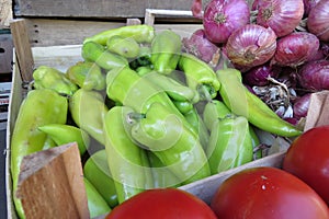 Green bell pepper, green Bulgarian pepper