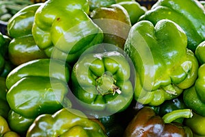 Green Bell Peppers