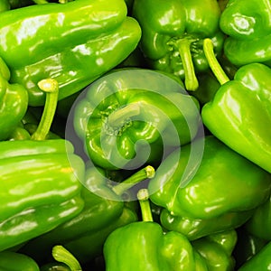 Green Bell Peppers, also known as Green Capsicums.