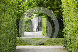 Green Belvedere Palace Park, Austria