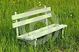Green bench in green grass