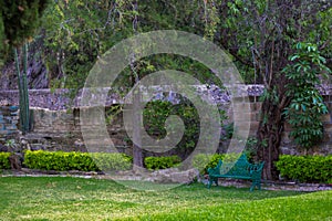 A green bench in the middle of a beautiful garden