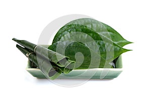Green betel leaf isolated on the white background.