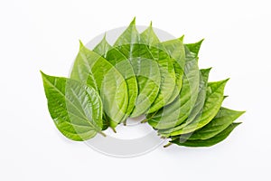 Green betel leaves, Fresh piper betle on white