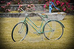 Green bicycle garden decoration. Old bicycle in the park