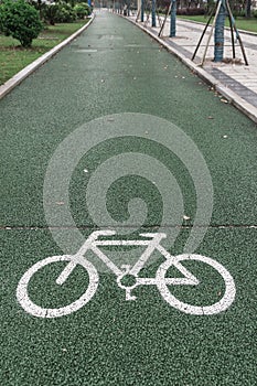 Green bicycle lane for biking