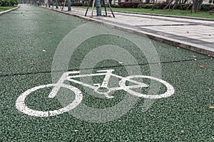 Green bicycle lane for biking, beside the walkway