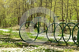 Green bicycle parking rack in park on a sunny spring day