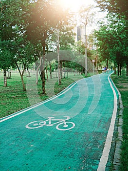 GReen bicycle path at Vachirabenjatas Park Rot Fai Park, Bicycle road sign on asphalt. Leisure activities, Sunny day