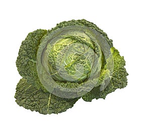 green big french cabbage