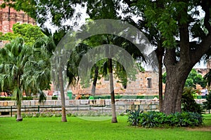 Green big trees all around in Lodhi Garden Delhi, Big trees in the Jungle