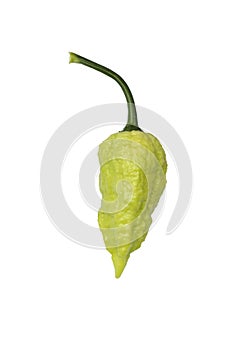Green Bih Jolokia pepper
