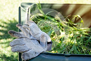 Green bin container filled with garden waste. Dirty gardening gloves. Spring clean up in the garden.