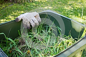 Green bin container filled with garden waste. Dirty gardening gloves. Spring clean up in the garden.