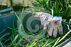 Green bin container filled with garden waste. Dirty gardening gloves. Spring clean up in the garden. Recycling garbage for a