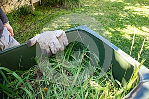 Green bin container filled with garden waste. Dirty gardening gloves. Spring clean up in the garden. Recycling garbage for a