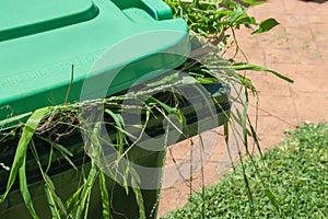 Green bin container filled with garden waste. Recycling garbage for a better environment