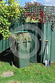 Green bin and spade in backyard