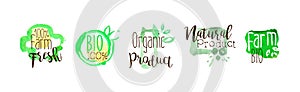 Green Bio Farm Product and Fresh Local Market Food Label Vector Set