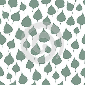 Green Birch Leaves Seamless Pattern Repeated Background photo