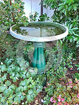 Bird Bath in garden setting