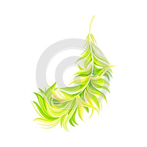 Green Bird Feather with Nib as Avian Plumage Vector Illustration