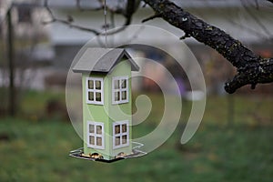 Green Bird house hanged on tree in winter