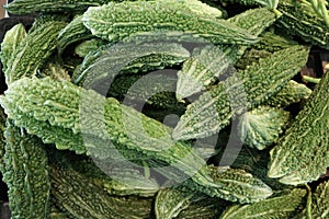 Green Bitter melon, bitter gourd or karela in India, is a unique vegetable fruit that can be used as food or medicine