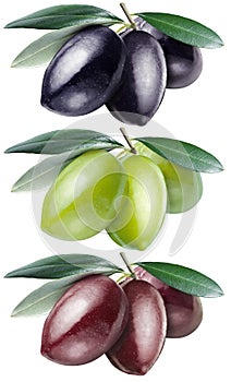 Green, black and kalamata olives with leaves on a white backgrou