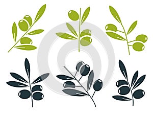 Green and black olive branches icons