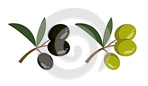 Green and black olives and leaves isolated on white background.