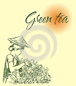 Green and black tea label