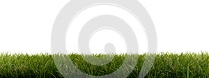 Green blades of grass 3d-illustration isolated on white