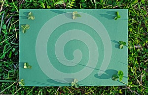 Green blank with clover leaves on grass backround, mock-up