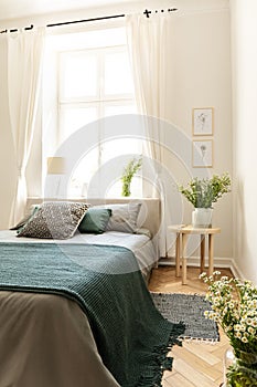 Green blanket on bed next to table with plant in bedroom interior with drapes at window. Real photo