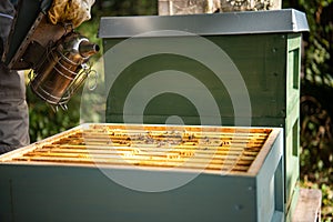 Green and blue bee hive open with beekeeper with smoker