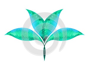 Green, blue color of chakra symbol concept, flower floral leaf