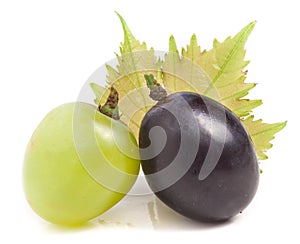 Green and blue grapes with leaf isolated on white background