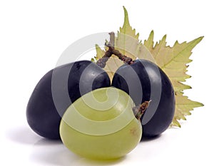 Green and blue grapes with leaf isolated on white background