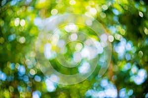 Green and blue summer bokeh for background . natural green blur style from trees. Abstract background,Blurred of green trees lawn photo