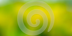 Green blur background texture. Abstract blur