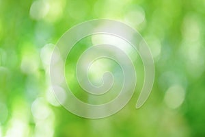 Green blurred Abstract background