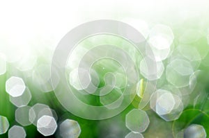 Green blurred background