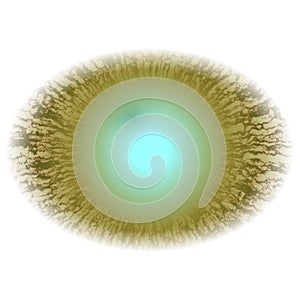 Green blurred eye, RTG of yellow green animal eye with open pupil and bright retina photo