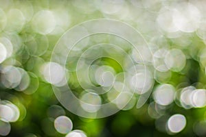 Green bokeh