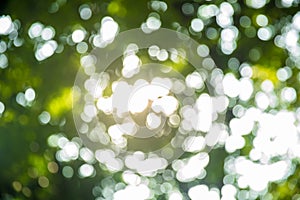 green bokeh abstract light background. White bokeh on green background for text input.