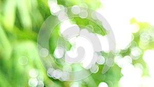 green bokeh background,green bokeh,green bokeh abstract