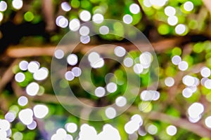 Green bokeh burry background