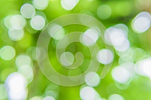 Green bokeh nature abstract background